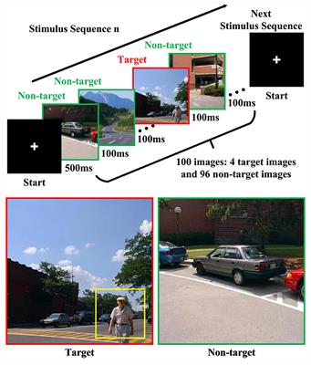 Group-member selection for RSVP-based collaborative brain-computer interfaces